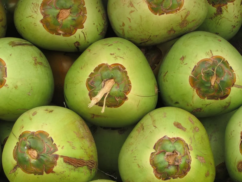 Água de Coco