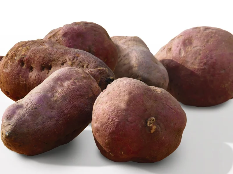 Batata Inglesa Média