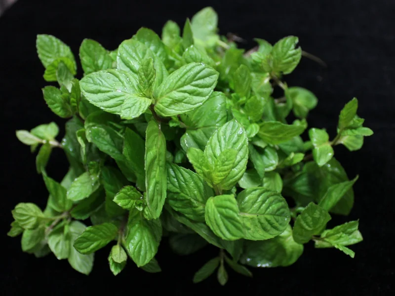 Halls Menthol Lozenges