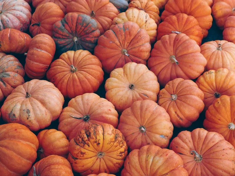 Sementes de Abóbora